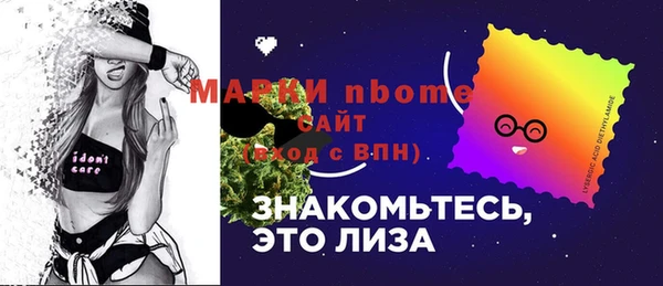 гидра Аркадак