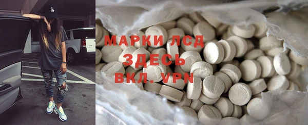 молекула духа Арсеньев