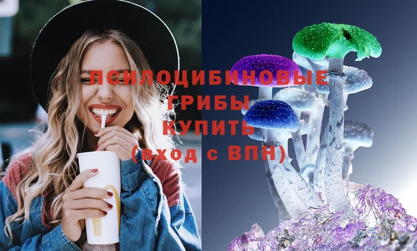 гидра Аркадак