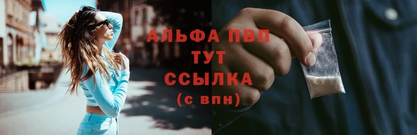 молекула духа Арсеньев