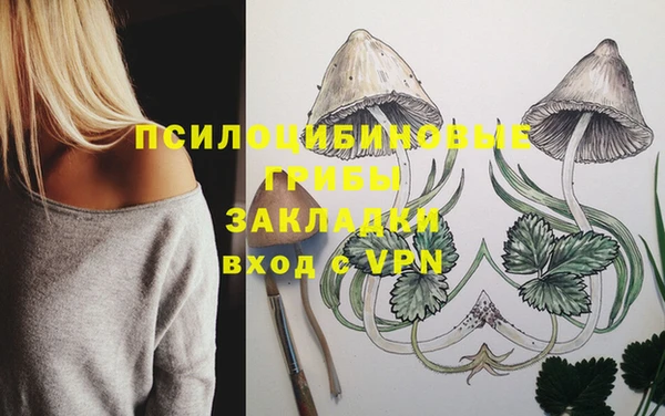 молекула духа Арсеньев