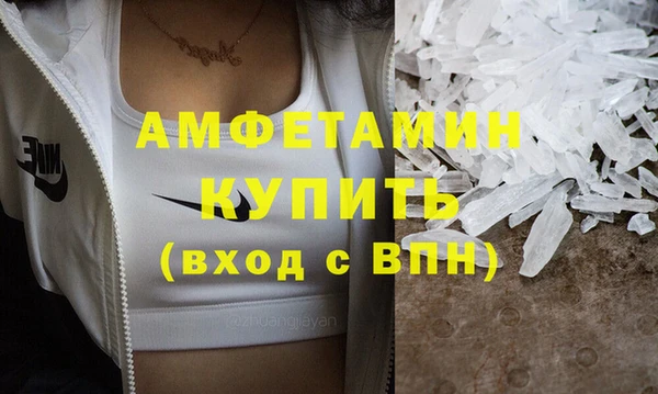 молекула духа Арсеньев