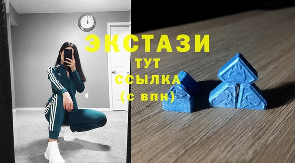 молекула духа Арсеньев