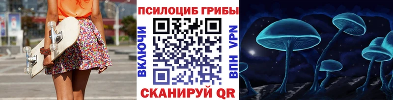 дарнет шоп Нея Псилоцибиновые грибы прущие грибы